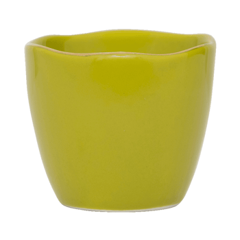 Urban Nature Culture - Bonjour - Coquetiers - pois cassés - lot de 2